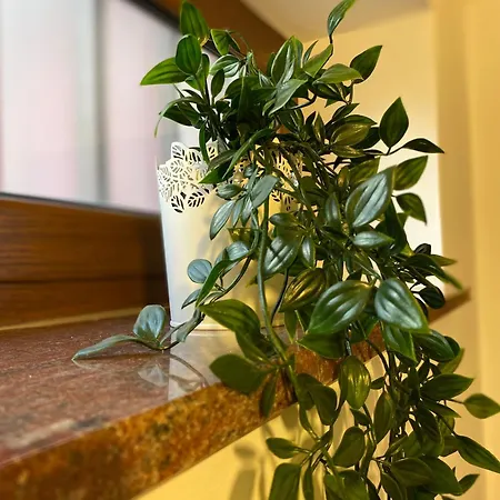 Ambra * Gioiosa Marea